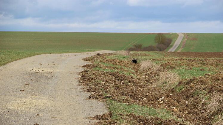 Wildschweinschäden in Münnerstadt.Heike Beudert