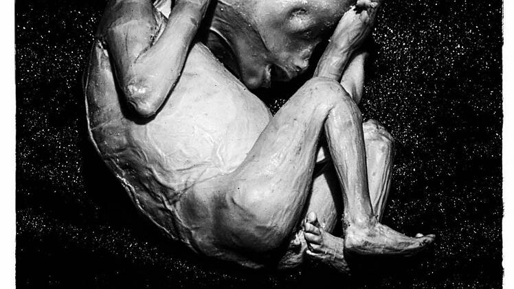 Die Ausstellung "Körperwelten - eine Herzenssache" wird noch bis zum 11. Februar im Quelle-Areal in Nürnberg gezeigt. Foto: Matthias Hoch