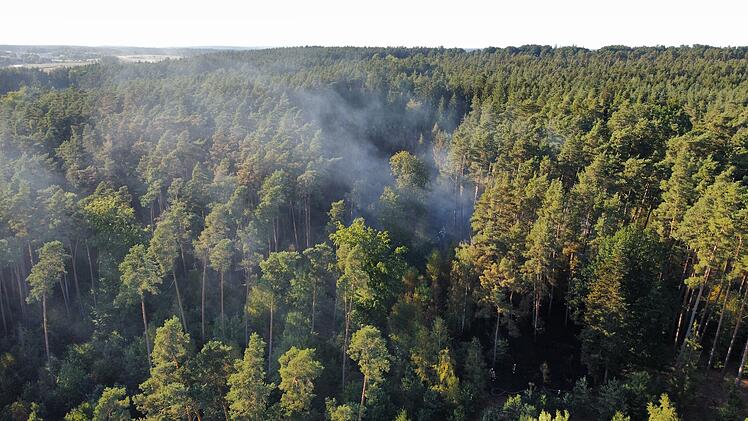 Waldbrand ruft Feuerwehr auf den Plan: Rund 20 Hektar stehen in Flammen