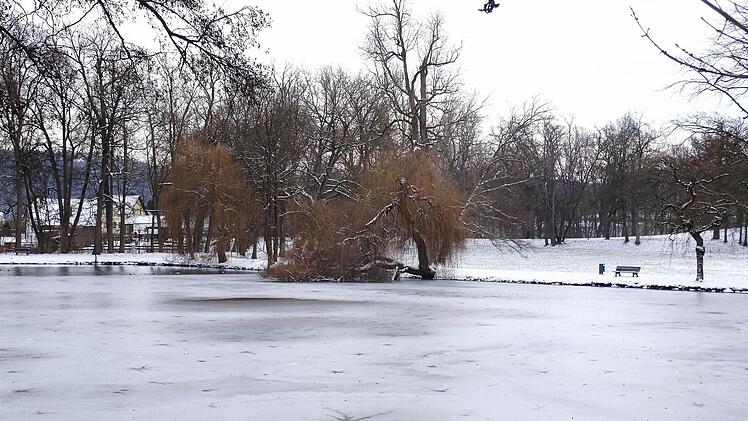 Winterimpressionen: Schwanenensee im Park von Schloss Rosenau.Foto: Jochen Berger