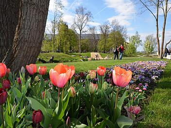 2012 brachte die Landesgartenschau die Bamberger Erba-Insel zum Blühen. Foto: Archiv