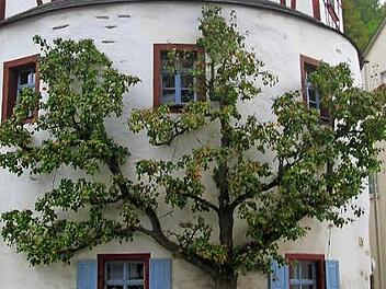 Manchmal wird die Marienkapelle ge&ouml;ffnet und kann besichtigt werden. Foto: p.