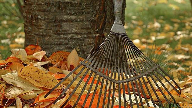 Laub zusammenrechen geh&ouml;rt zu den h&auml;ufigsten Gartenarbeiten im Herbst