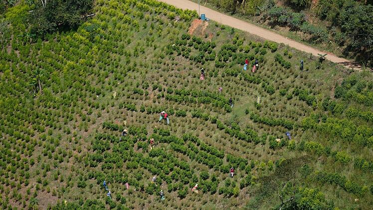 Kokain aus Kolumbien