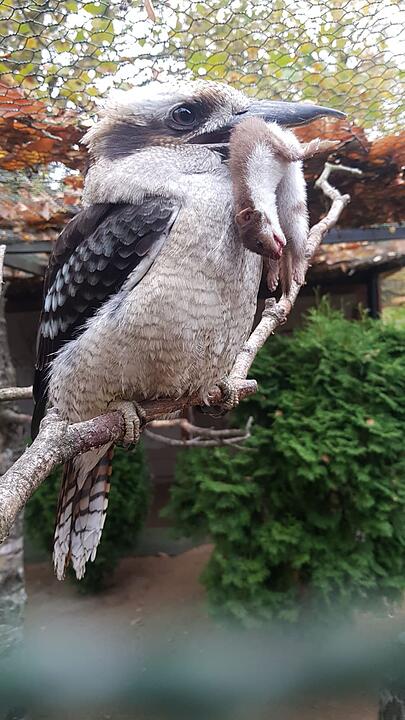 Die schönsten Fotos im Herbst aus Schweinfurt und Umgebung