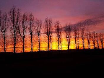 Das November-Wetter hat aktuell eine Menge zu bieten, wie beispielsweise diesen beeindruckenden Sonnenuntergang nahe der Gemeinde Hetzles im Landkreis Forchheim.  Foto: Sebastian Sippe Steinbrecher