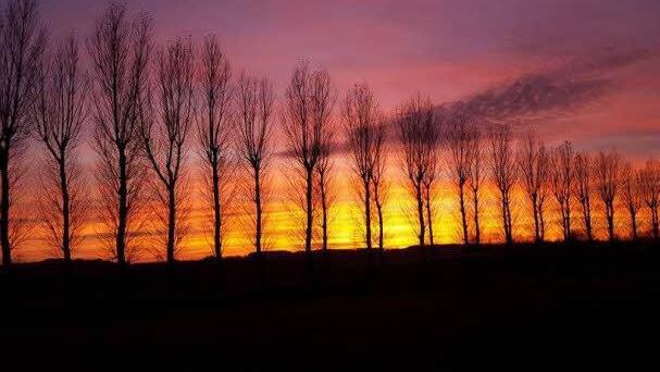 Das November-Wetter hat aktuell eine Menge zu bieten, wie beispielsweise diesen beeindruckenden Sonnenuntergang nahe der Gemeinde Hetzles im Landkreis Forchheim.  Foto: Sebastian Sippe Steinbrecher