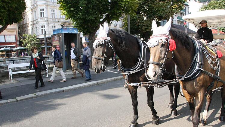 Eindrücke von der Fahrt des Kreistages 2015. Foto: Ralf Ruppert