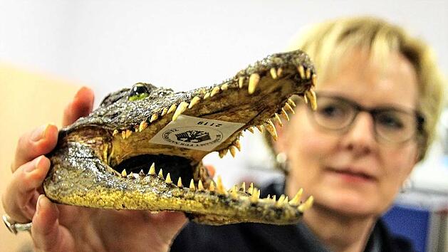 zoll foto diana fuchs (8)