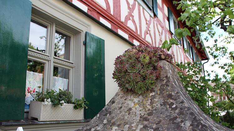 Helga und Rolf Bayer haben das Haus in Lonnerstadt spontan gekauft. Foto: Mirjam Stumpf
