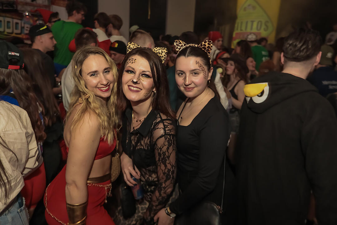Fasching 2025 in Schweinfurt!