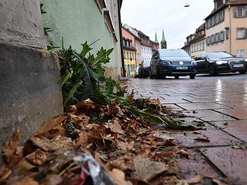 Helmut Hennemann ärgert sich, dass vor seinem Grundstück am Mittleren Kaulberg  unter anderem nicht das Unkraut entfernt wird - doch das sei nicht unbedingt Teil  der Straßenreinigung, heißt es von der Stadt.   Foto:  Ronald Rinklef