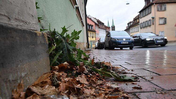 Helmut Hennemann ärgert sich, dass vor seinem Grundstück am Mittleren Kaulberg  unter anderem nicht das Unkraut entfernt wird - doch das sei nicht unbedingt Teil  der Straßenreinigung, heißt es von der Stadt.   Foto:  Ronald Rinklef