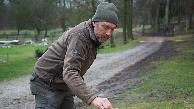 Reinhold Feil demonstriert, wie sich der Buchenschleim im Bauminneren ausbreitet.