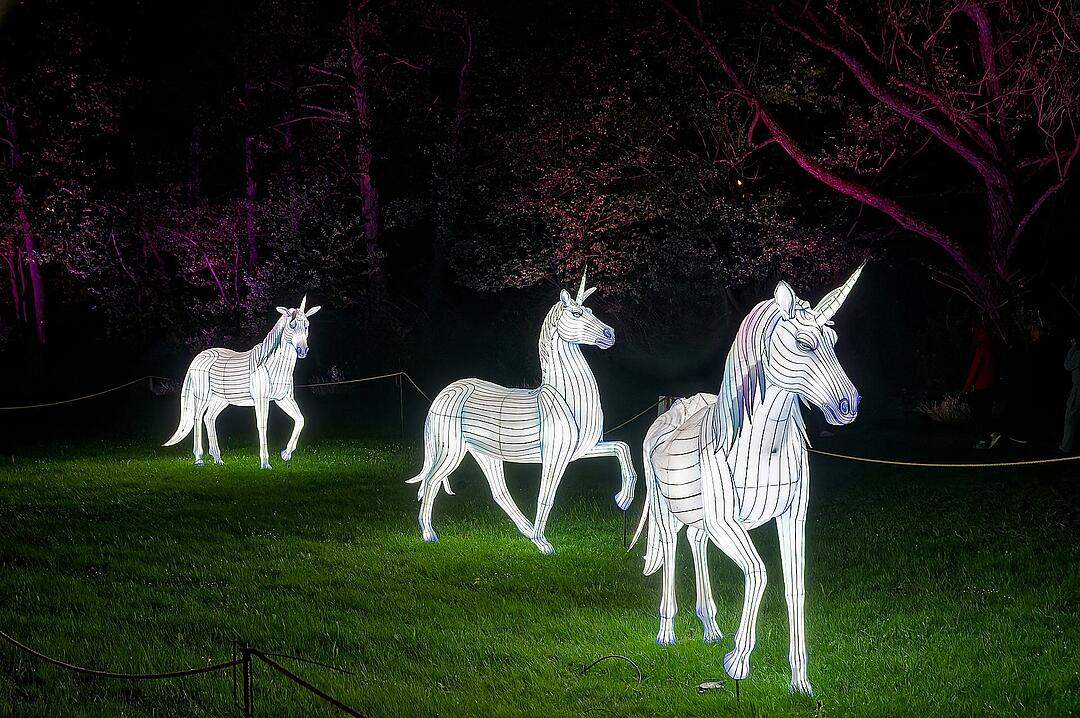 Eine magische Kulisse mit effektvoll platzierter Lichtkunst.