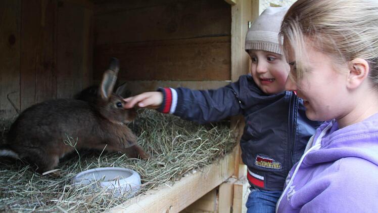 Und immer wieder gibt es Tiere zum Streicheln.