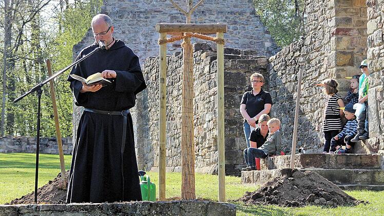 Stadtpfarrer Markus Reis OSA segnete die neu gepflanzten Bäume und betonte "Pflanzen und Bäume spielen von Anfang an in der Schöpfung eine wesentliche Rolle". Foto: Dieter Britz