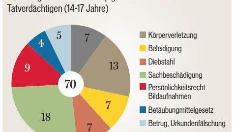 Kriminalstatistik 2014 Quelle: Polizeiinspektion Bad Brückenau; Grafik: Carolin Höfler