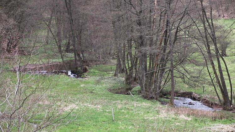 Aus der Entfernung ist aber zu erkennen, dass sich bereits ein Teich aufgestaut hat.
