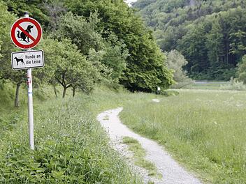 Der bisherige Wander- und Wiesenweg, der von Mostviel zum Freibad führt. Foto: Löwisch