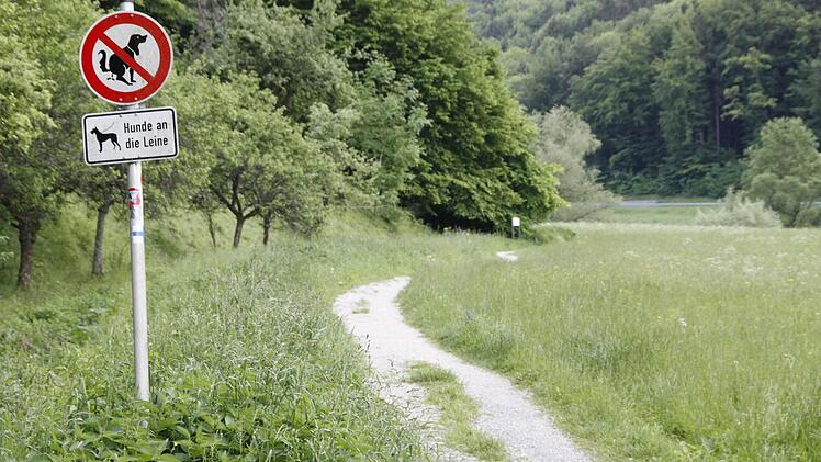 Der bisherige Wander- und Wiesenweg, der von Mostviel zum Freibad führt. Foto: Löwisch