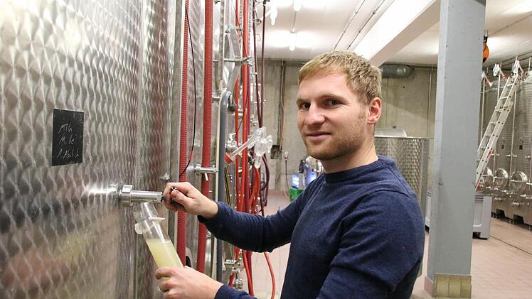 Eindrücke von der Weinlese. Foto: Ralf Ruppert