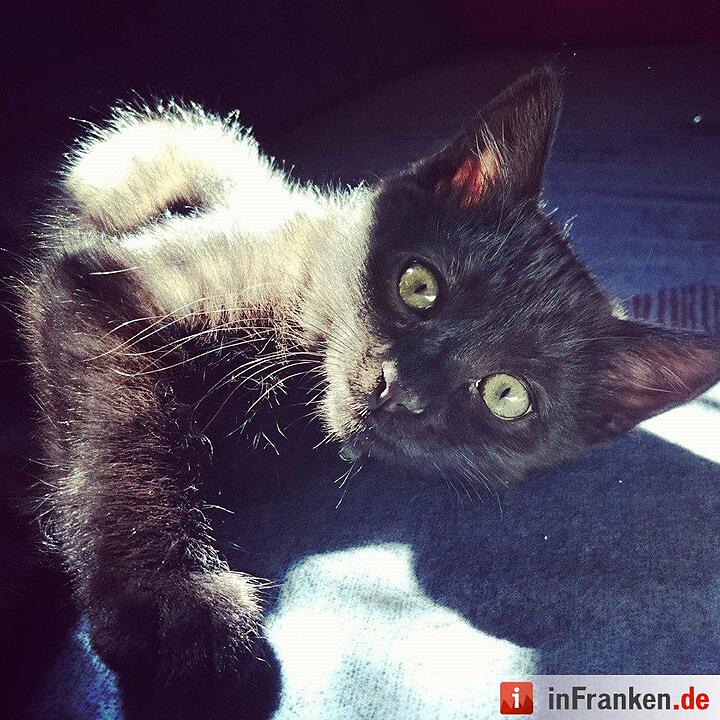 Foto: Sabrina Einwich