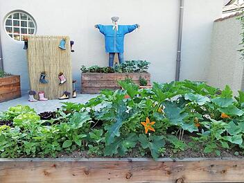 Im neuen urbanen Schulgarten der Martingrundschule erleben die Kinder Gesundheits-, Umwelt- und Kulturerziehung, die Spa&szlig; macht und auch noch lecker schmeckt.  Foto: Martinschule