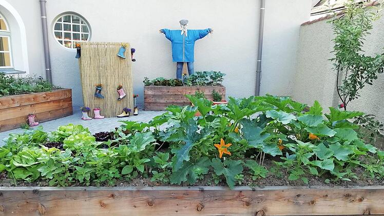 Im neuen urbanen Schulgarten der Martingrundschule erleben die Kinder Gesundheits-, Umwelt- und Kulturerziehung, die Spa&szlig; macht und auch noch lecker schmeckt.  Foto: Martinschule