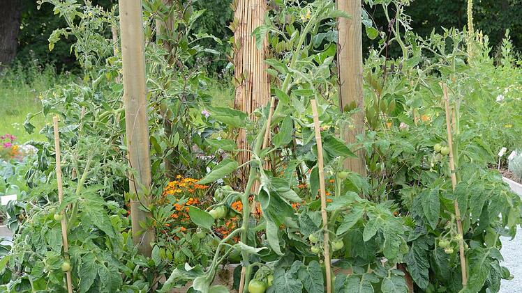 Impressionen von der Landesgartenschau in Bayreuth Foto: Dagmar Besand