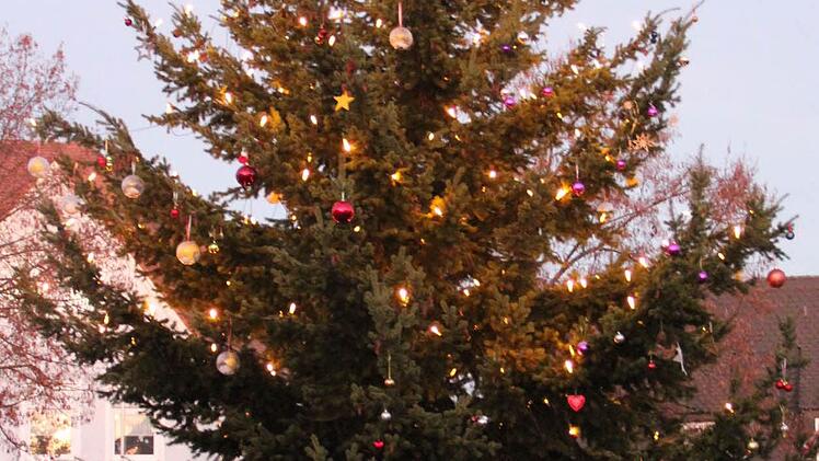 Der Baum strahlt bei Tag. Foto: Johanna Blum