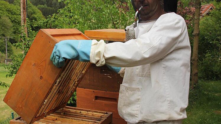 Klaus Ruppert öffnet den Bienenkasten.  Foto: Friedwald Schedel