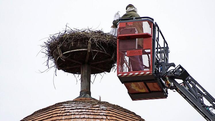 Jochen Willecke holt die Storchenjungen wieder aus dem Nest.