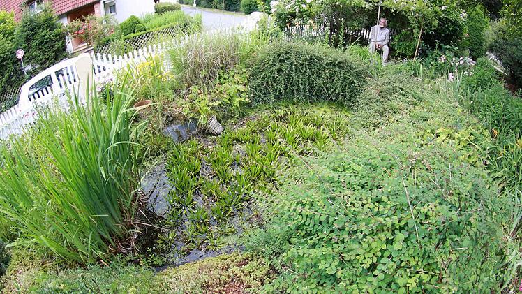 Unter dem grünen Baldachin blickt man auf den Teich.