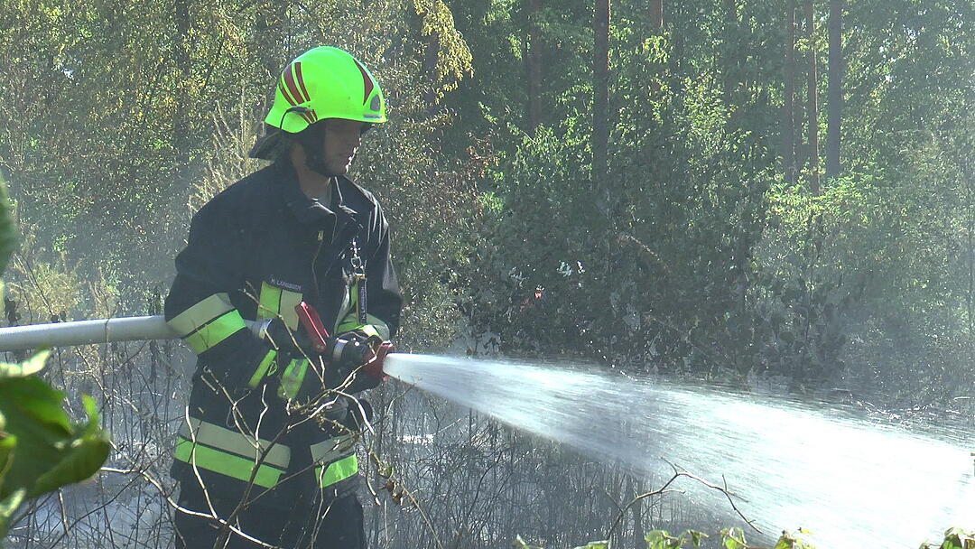 Waldbrand im Kreis Haßberge: Feuerwehr kämpft mit Großaufgebot gegen die Flammen