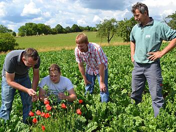 Fabian Gräf (Zweiter von links) hat unter den kritischen Augen der Prüfer René Rempel und Alexander Köhler sowie des Landwirts Holger Heilingloh auf dem Rübenfeld den Unkrautbesatz zu bewerten.  Foto: Gabi Bertram