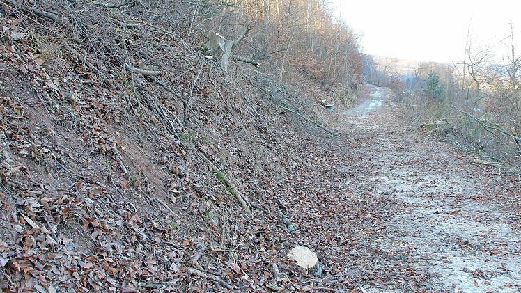 Spazierweg führt mitten durch den steilen Hang, an dem jetzt die Holzarbeiten durchgeführt wurden.