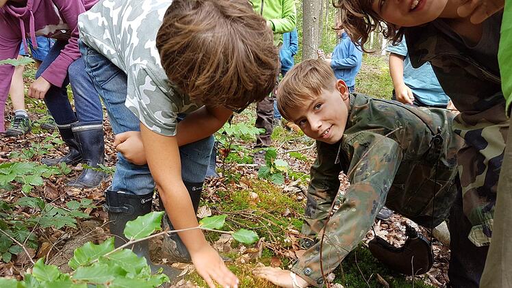 Wie fühlt sich Moos an und warum staubt es so? Fragen, die die Kinder selbst entdecken und stellen und von den Betreuern (meist) beantwortet bekommen.Elisabeth Assmann