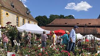 Impressionen vom Gartenfest Schloss Eyrichshof 2019