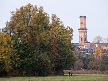 Neuer Landrat in Fürth gewählt: Söder zollt ihm wegen Wahlergebnis Respekt