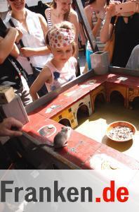 Das Mittelalterfest 2016 in Herzogenaurach in Bildern