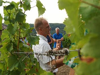 Fachberater Wolfgang Patzwahl erklärt im Weinberg, welche Folgen der Wassermangel für die Pflanzen hat. Foto: Arkadius Guzy