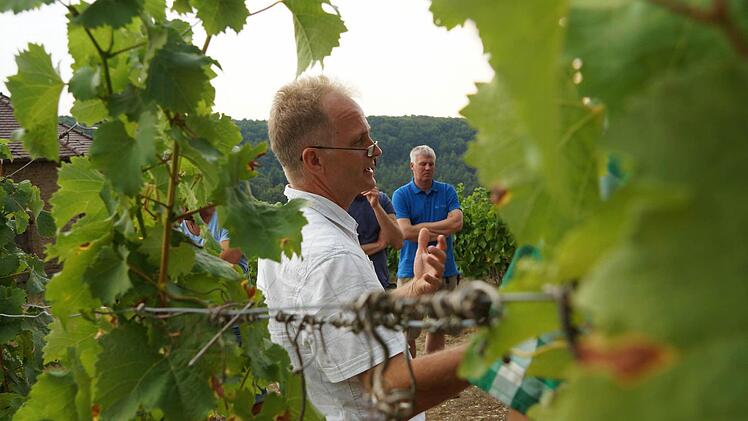 Fachberater Wolfgang Patzwahl erklärt im Weinberg, welche Folgen der Wassermangel für die Pflanzen hat. Foto: Arkadius Guzy