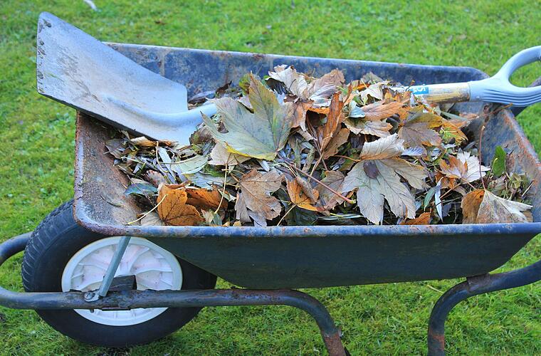 Bamberg: Herbstliche Gartenabfälle werden kostenlos abgeholt - die Termine im Überblick