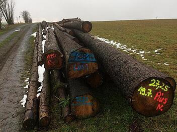 Verdacht auf Untreue: H&auml;user von Ex-Mitarbeitern durchsucht