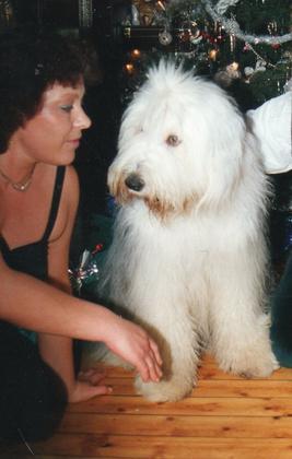 Foto: Robeert