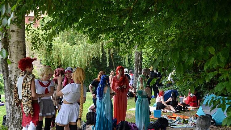 Eindrücke von der 6. Cosplay-Convention "Franco" in Bamberg. Foto: Andrea Spörlein