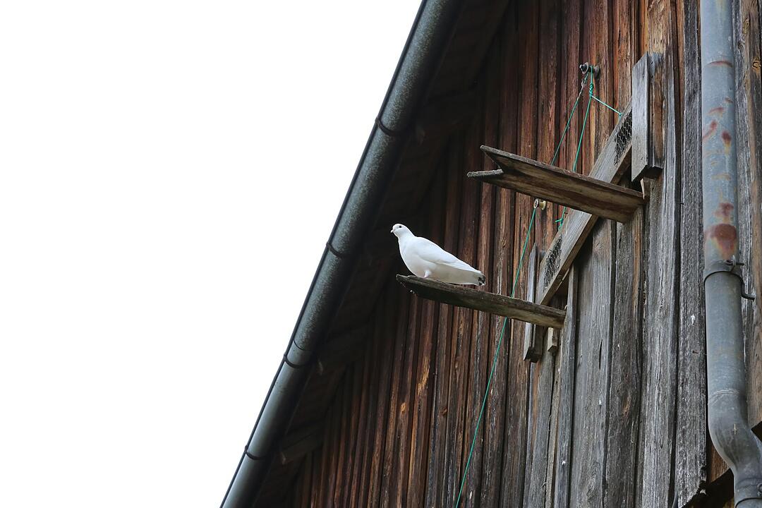 SoS Tiefenst?rmig; Gemeinde Eggolsheim; Foto: Barbara Herbst