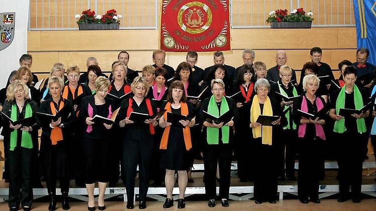 Die Songgruppe Adelsdorf bei einem Auftritt Foto: Johanna Blum