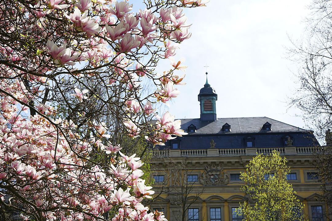 Blühendes Würzburg